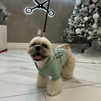 Paws At Main - Riverside - Pet Groomers Near Me - Riverside, California Paws At Main - Riverside - Pet Groomers Near Me - Riverside, California