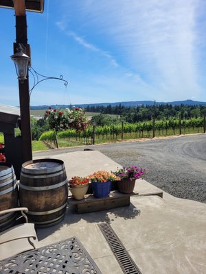 Stangeland Vineyards & Winery by null
