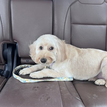 PurrFurred Pet Styling - Aurora - Pet Groomers Near Me - Aurora, Illinois PurrFurred Pet Styling - Aurora - Pet Groomers Near Me - Aurora, Illinois