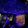 Sonny's Auto Upholstery