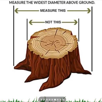 Stump UnderTaker - Tree Services Near Me
