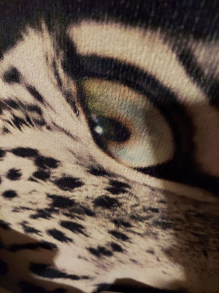 ACE HARDWARE INYOKERN Updated September 2024 6259 Inyokrn Rd