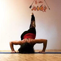 Wild Free Yogi Studio