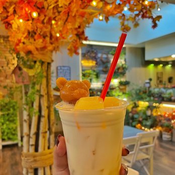 Cafe Bench - Cafes Near Me - Flushing, New York