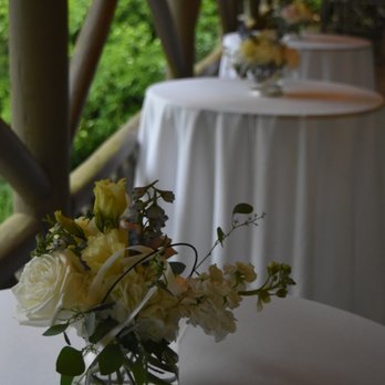 OCCASIONS FLORIST GAINESVILLE - Florists Near Me - Gainesville, Georgia OCCASIONS FLORIST GAINESVILLE - Florists Near Me - Gainesville, Georgia