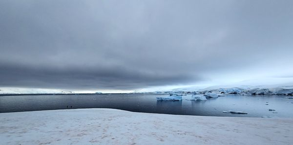 Africa Adventure Consultants by null