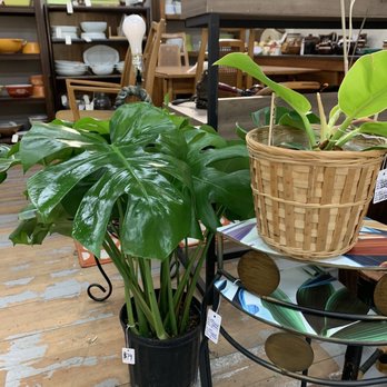 Oregon City Antiques - Antiques Near Me - Oregon City, Oregon