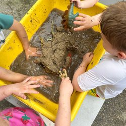 Little Hands Academy