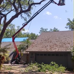 Asay Tree Service - Trimming over structures