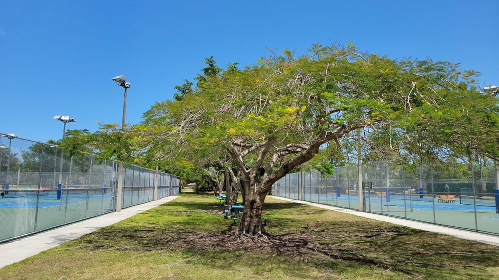 DAVID ENSIGNIA TENNIS ACADEMY - EAST KENDALL - Updated October 2025 ...
