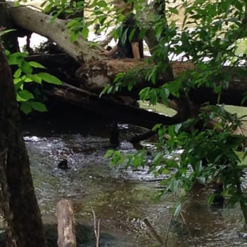 Battle Park - Parks Near Me - Rocky Mount, North Carolina