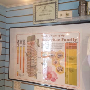The Honey Exchange - Educational info - Specialty Food Near Me - Portland, Maine The Honey Exchange - Educational info - Specialty Food Near Me - Portland, Maine