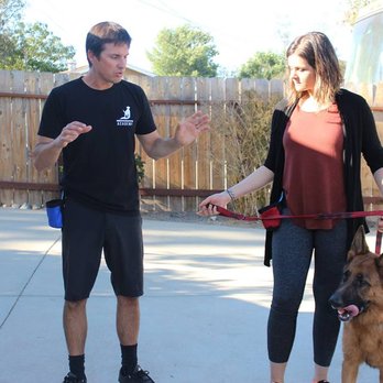 Beckman's Dog Training - Pet Training Near Me - Ramona, California