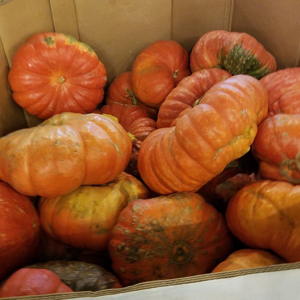 Planet Pumpkin - Pumpkin Patches Near Me - Fresno, California Planet Pumpkin - Pumpkin Patches Near Me - Fresno, California