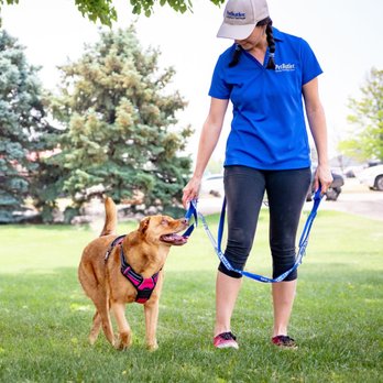 Pet Butler - Pet Waste Removal Near Me - Boca Raton, Florida Pet Butler - Pet Waste Removal Near Me - Boca Raton, Florida