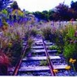 Golden Acre Park - Photo taken from official site