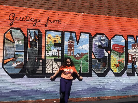 Clemson University by null