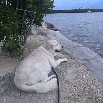 Boyd's Key West Campground - Campgrounds Near Me - Key West, Florida