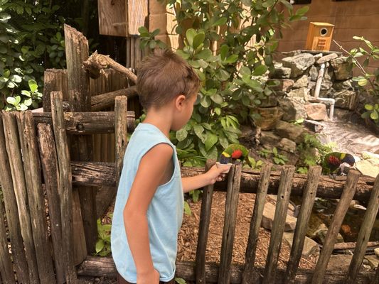 Palm Beach Zoo & Conservation Society by null