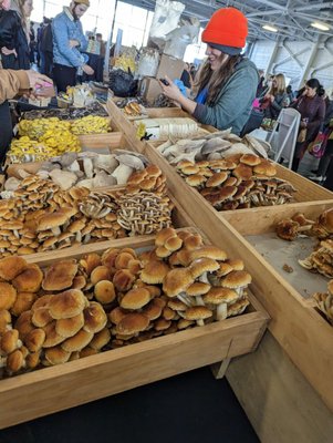 Magnuson Park Hangar 30 by null