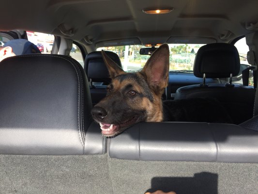 HERTZ CAR SALES KEARNY MESA - Updated March 2025 - 30 Photos & 141