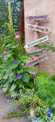 White Rabbit Books & Curiosities by null