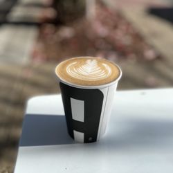 Avid Coffee - BaristART!