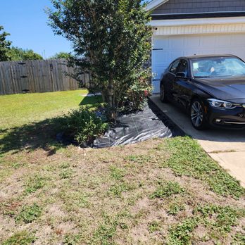 Marigold Landscaping - Lawn Services Near Me Marigold Landscaping - Lawn Services Near Me