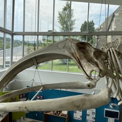 Paleontological Research Institution