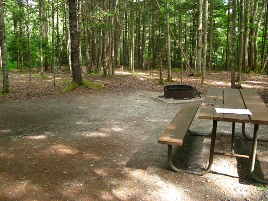 Seawall Campground by null