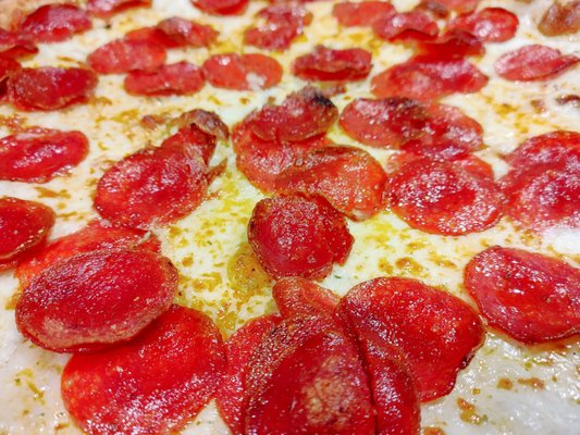 South Coast Pizza by null
