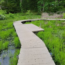 Wahkeena Nature Preserve - Boardwalk