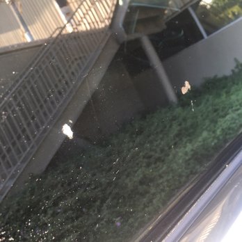 Auto Glass Ricardo - Windshield Installation & Repair Near Me - Los Angeles, California Auto Glass Ricardo - Windshield Installation & Repair Near Me - Los Angeles, California