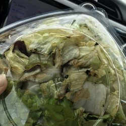 Wendy's - Unfit to eat.