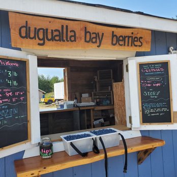 Dugualla Bay Berries - Prices - Pick Your Own Farms Near Me - Oak Harbor, Washington Dugualla Bay Berries - Prices - Pick Your Own Farms Near Me - Oak Harbor, Washington