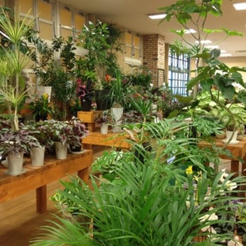 サンリョー園芸センター緑店 白土803 名古屋市 緑区 愛知県 Japan Yelp