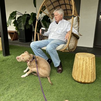 Marsh Hotel - The courtyard is so cute and cozy and dog friendly! - Hotels Near Me - New Orleans, Louisiana Marsh Hotel - The courtyard is so cute and cozy and dog friendly! - Hotels Near Me - New Orleans, Louisiana
