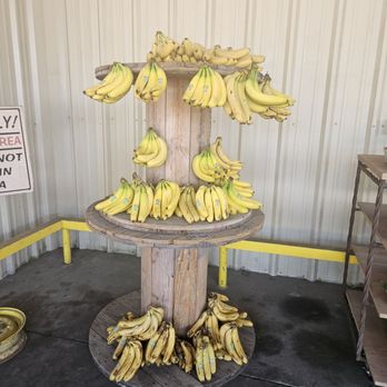 Waldron Produce - Fruits & Veggies Near Me - Citra, Florida Waldron Produce - Fruits & Veggies Near Me - Citra, Florida