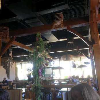 NaraDeva Thai Restaurant - NaraDeva Thai (dining room) - Thai Near Me - Orlando, Florida NaraDeva Thai Restaurant - NaraDeva Thai (dining room) - Thai Near Me - Orlando, Florida