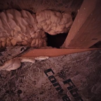 Airdale Inspection - Home Inspectors Near Me Airdale Inspection - Home Inspectors Near Me