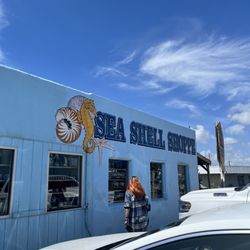 Sea Shell Shoppe - Outside of store