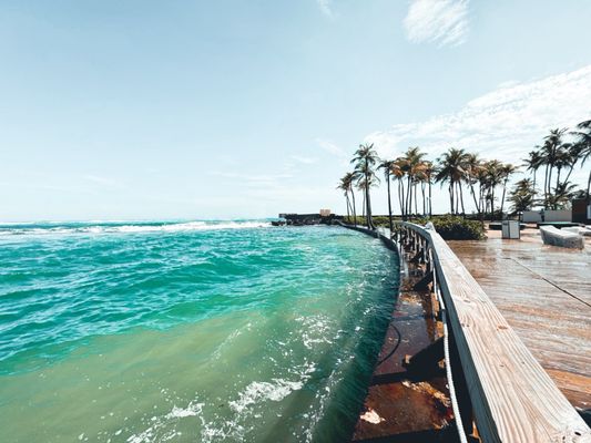Caribe Hilton by null