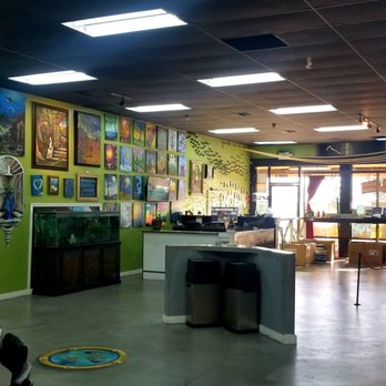 Memo's Canvas - Paint & Sip Near Me - Montclair, California