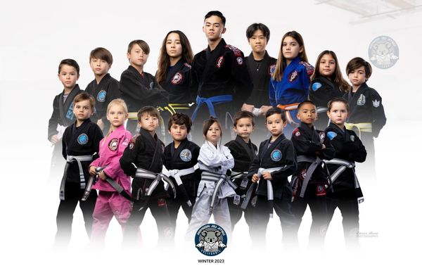 Mission Jiu Jitsu gym photo