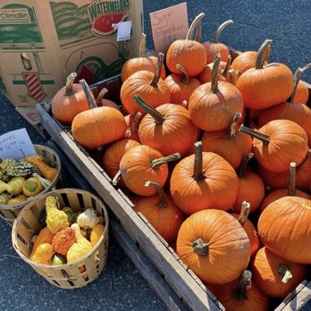Stuart's Fruit Farm - Farmers Market Near Me - Granite Springs, New York Stuart's Fruit Farm - Farmers Market Near Me - Granite Springs, New York