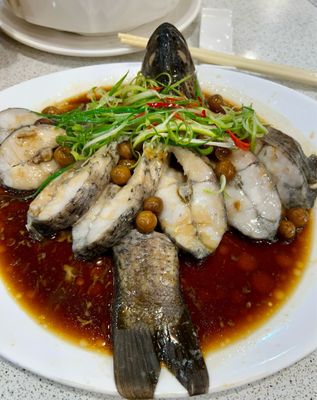 Hoya Spa Hotel by null