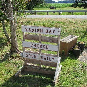 Samish Bay Cheese - Signage... - Cheese Shops Near Me - Bow, Washington Samish Bay Cheese - Signage... - Cheese Shops Near Me - Bow, Washington