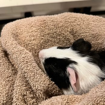 PetSmart - Pet Stores Near Me - North Brunswick, New Jersey