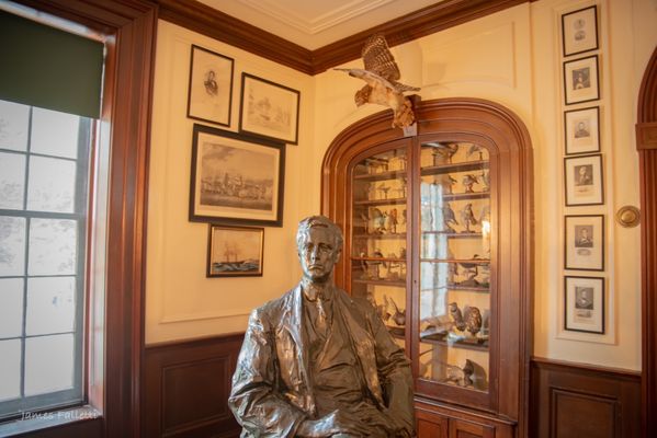 Home of Franklin D. Roosevelt National Historic Site by null