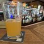 Photo of Beacon Barking Frog